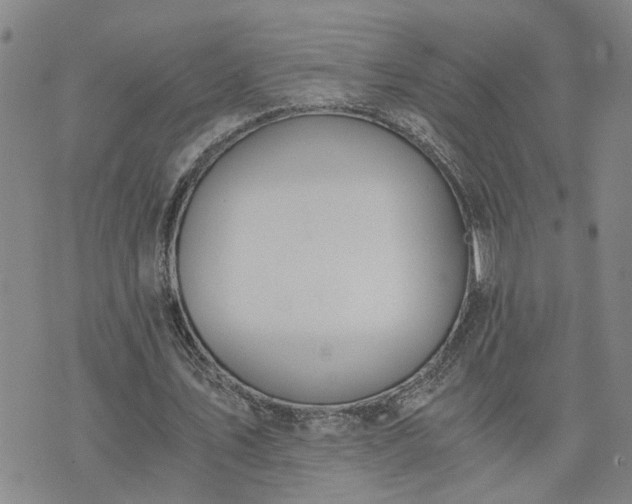 X0000076390579200610161142