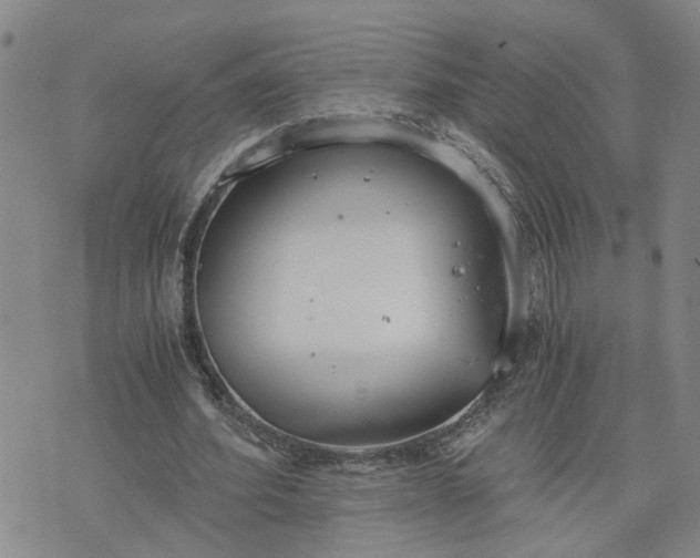 X0000076390580200610161142