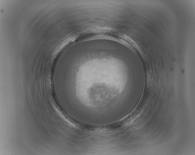 X0000076390581200610161142