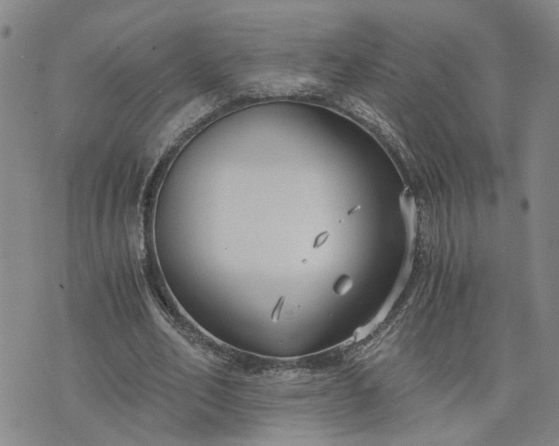 X0000076390582200610161142