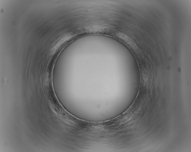 X0000076390583200610161142