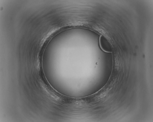 X0000076390584200610161142