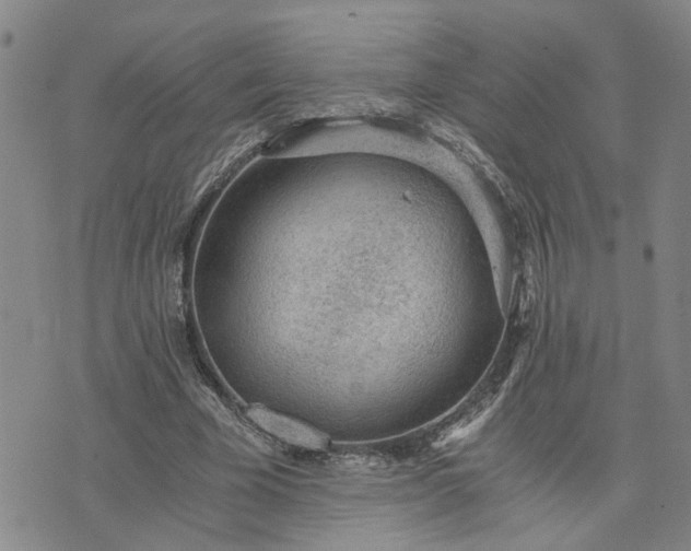 X0000076390585200610161142