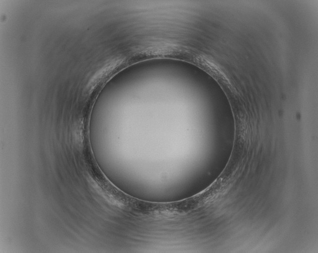 X0000076390586200610161142