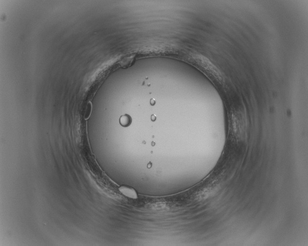 X0000076390588200610161142