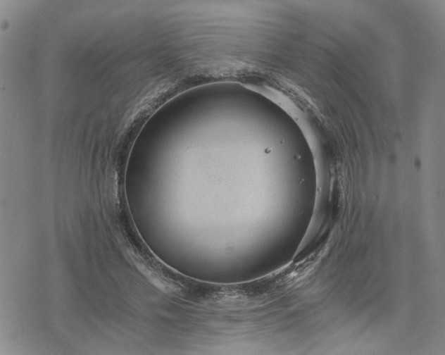 X0000076390589200610161142