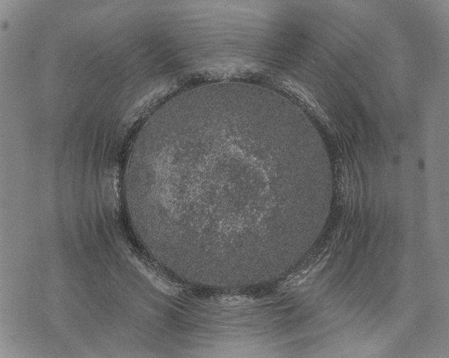 X0000076390590200610161142