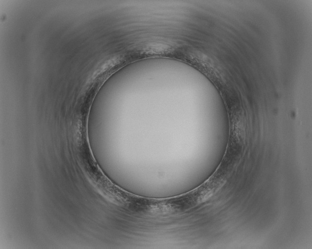 X0000076390591200610161142