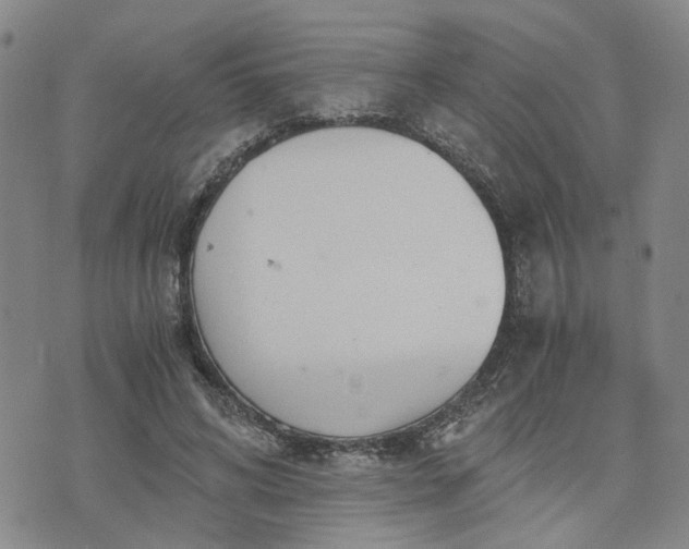 X0000076390592200610161142