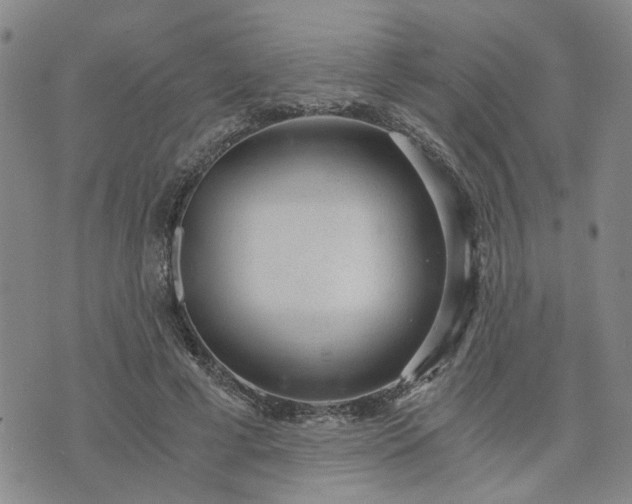 X0000076390593200610161142