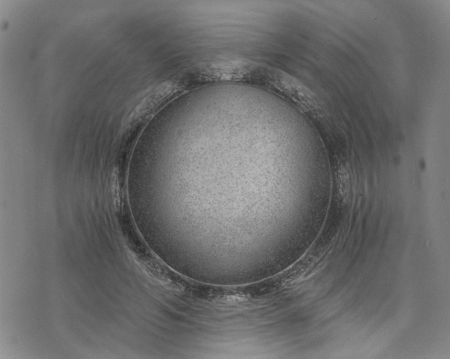 X0000076390594200610161142