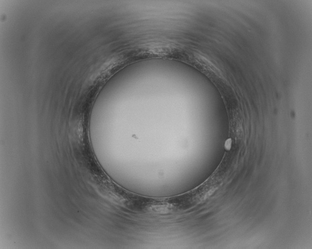 X0000076390595200610161142