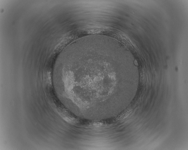 X0000076390598200610161142