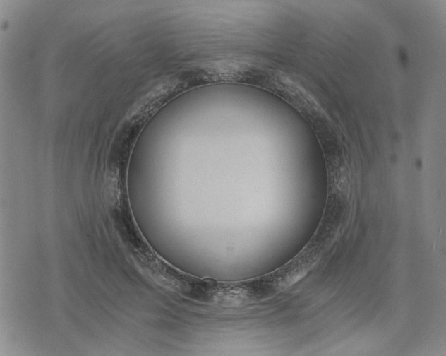 X0000076390599200610161142