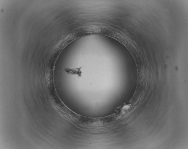 X0000076390600200610161142