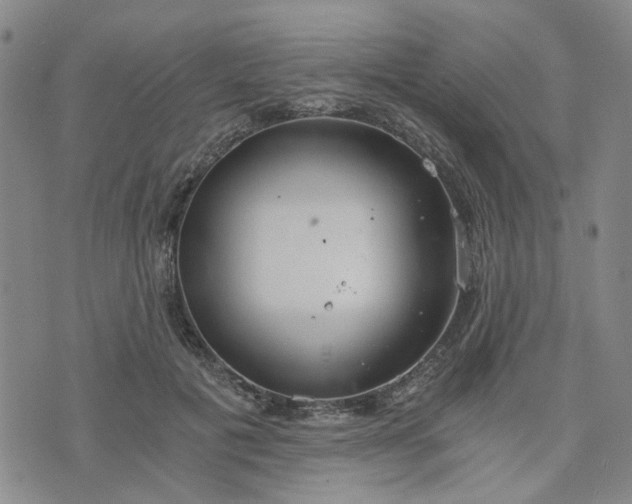 X0000076390601200610161142