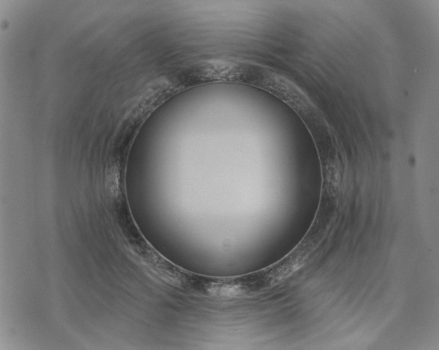 X0000076390602200610161142