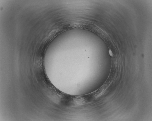 X0000076390603200610161142