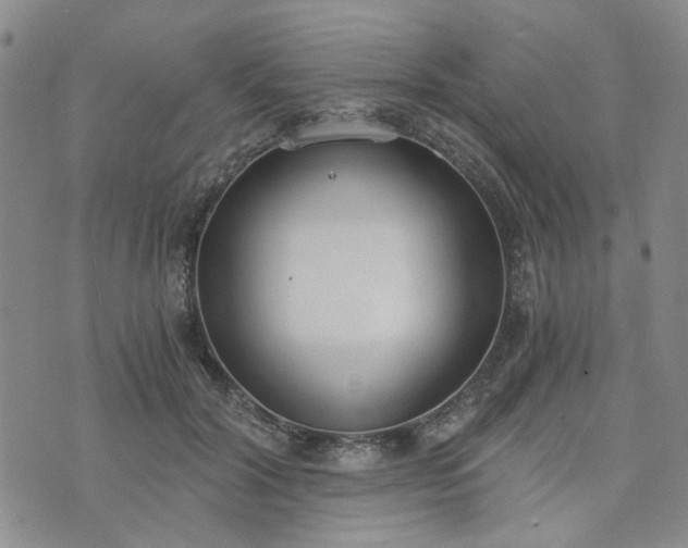 X0000076390604200610161142