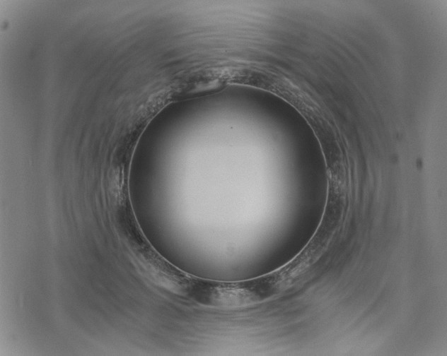 X0000076390605200610161142