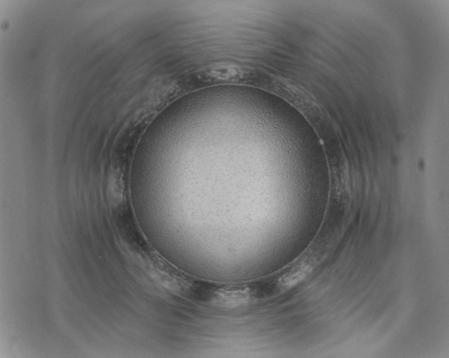 X0000076390606200610161142