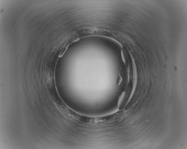 X0000076390607200610161142