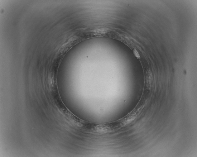 X0000076390608200610161142