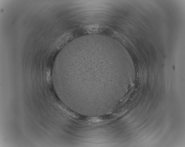 X0000076390610200610161142