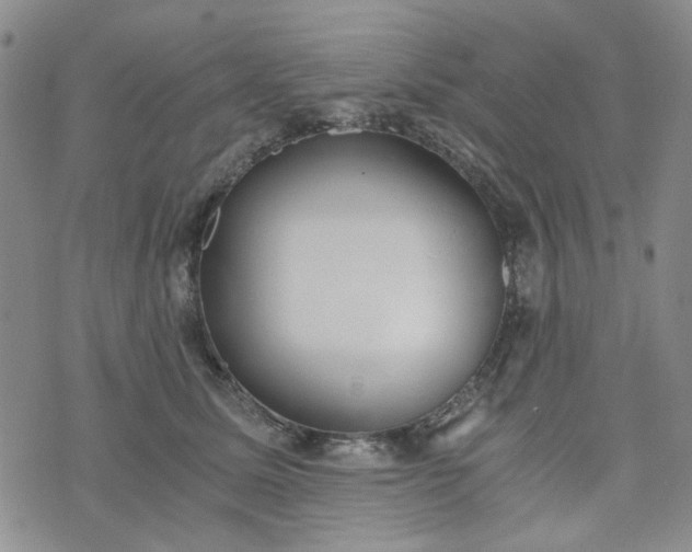 X0000076390611200610161142