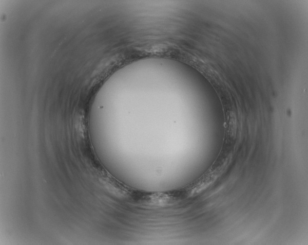 X0000076390612200610161142