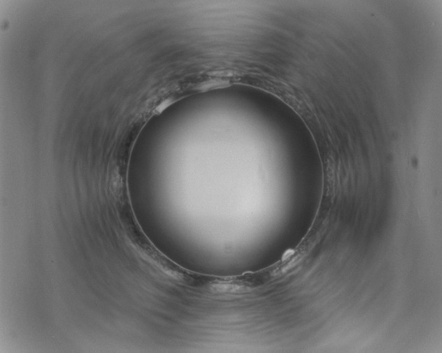 X0000076390614200610161142