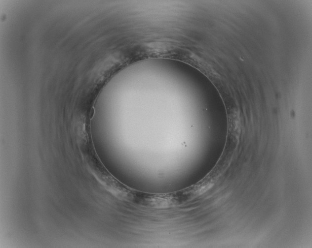 X0000076390615200610161142