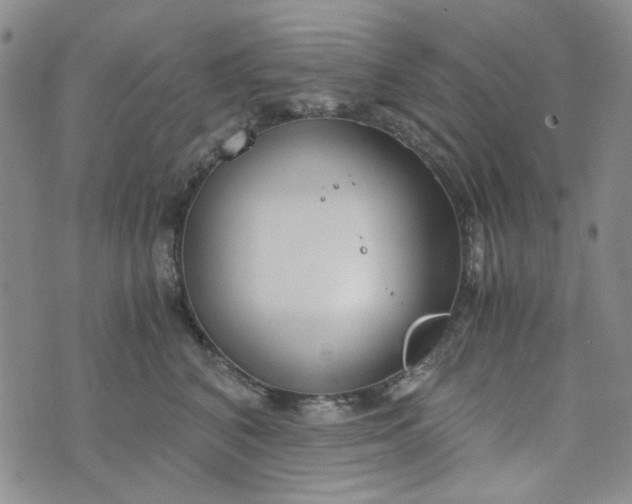 X0000076390616200610161142