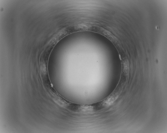 X0000076390617200610161142