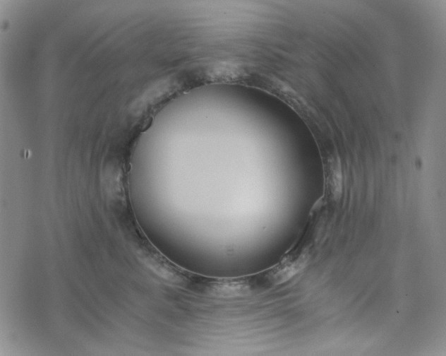 X0000076390619200610161142