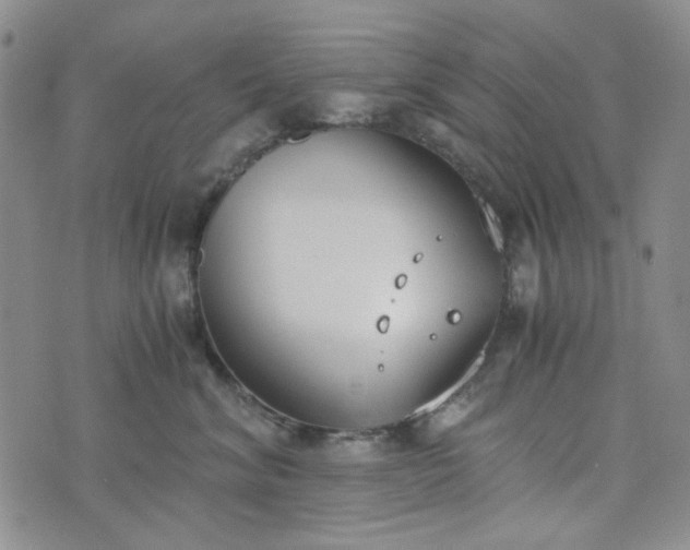 X0000076390620200610161142