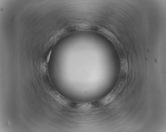 X0000076390621200610161142