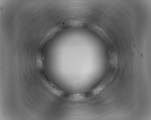 X0000076390622200610161142