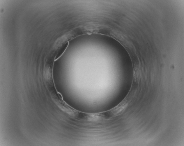 X0000076390623200610161142