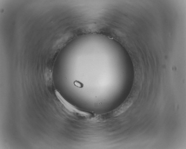 X0000076390624200610161142