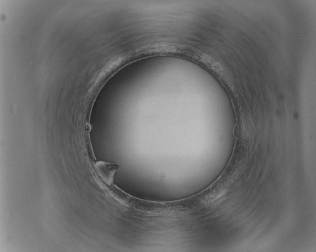 X0000076390625200610161141