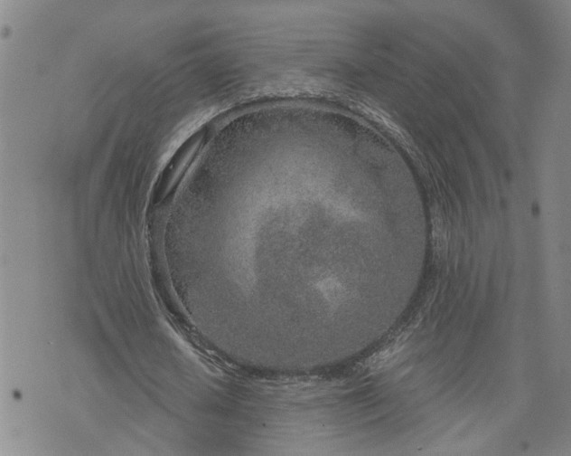 X0000076390626200610161141