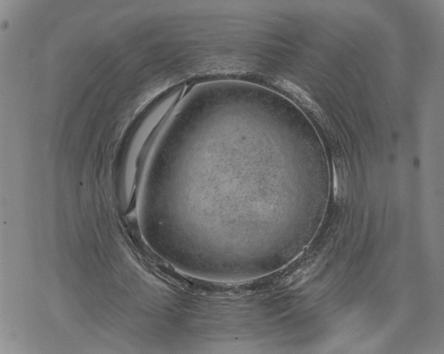 X0000076390627200610161141