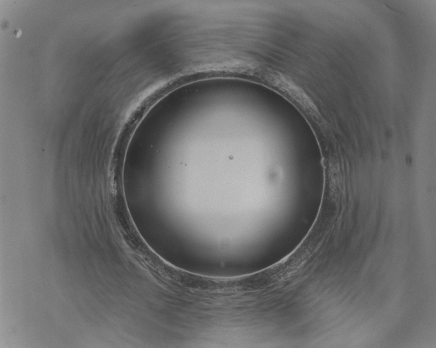 X0000076390628200610161141