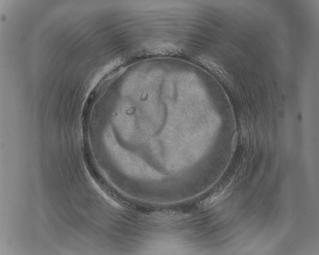 X0000076390630200610161141