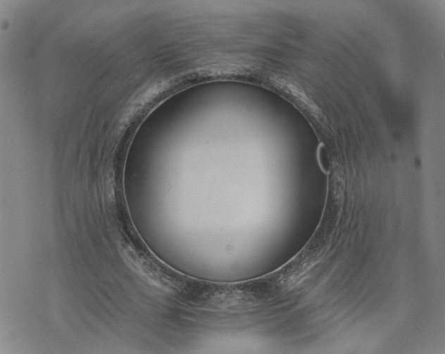 X0000076390631200610161141