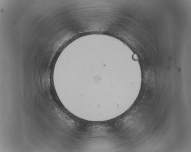 X0000076390632200610161141