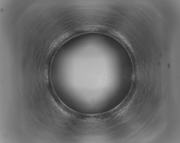 X0000076390633200610161141