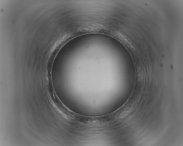 X0000076390634200610161141