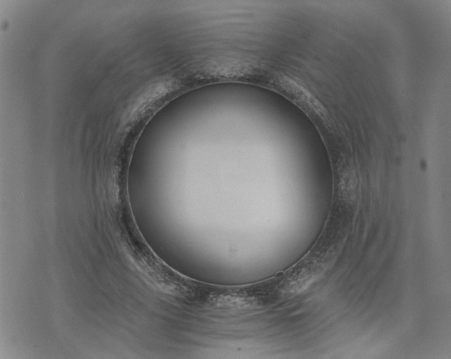 X0000076390635200610161141